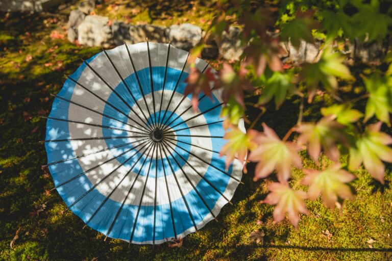 Colorful Japanize umbrella on grassy meadow near tree and foliage